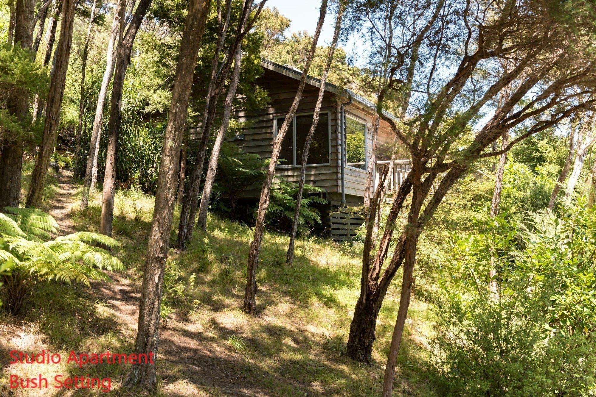 Bay Of Islands Holiday Apartments Paihia Esterno foto