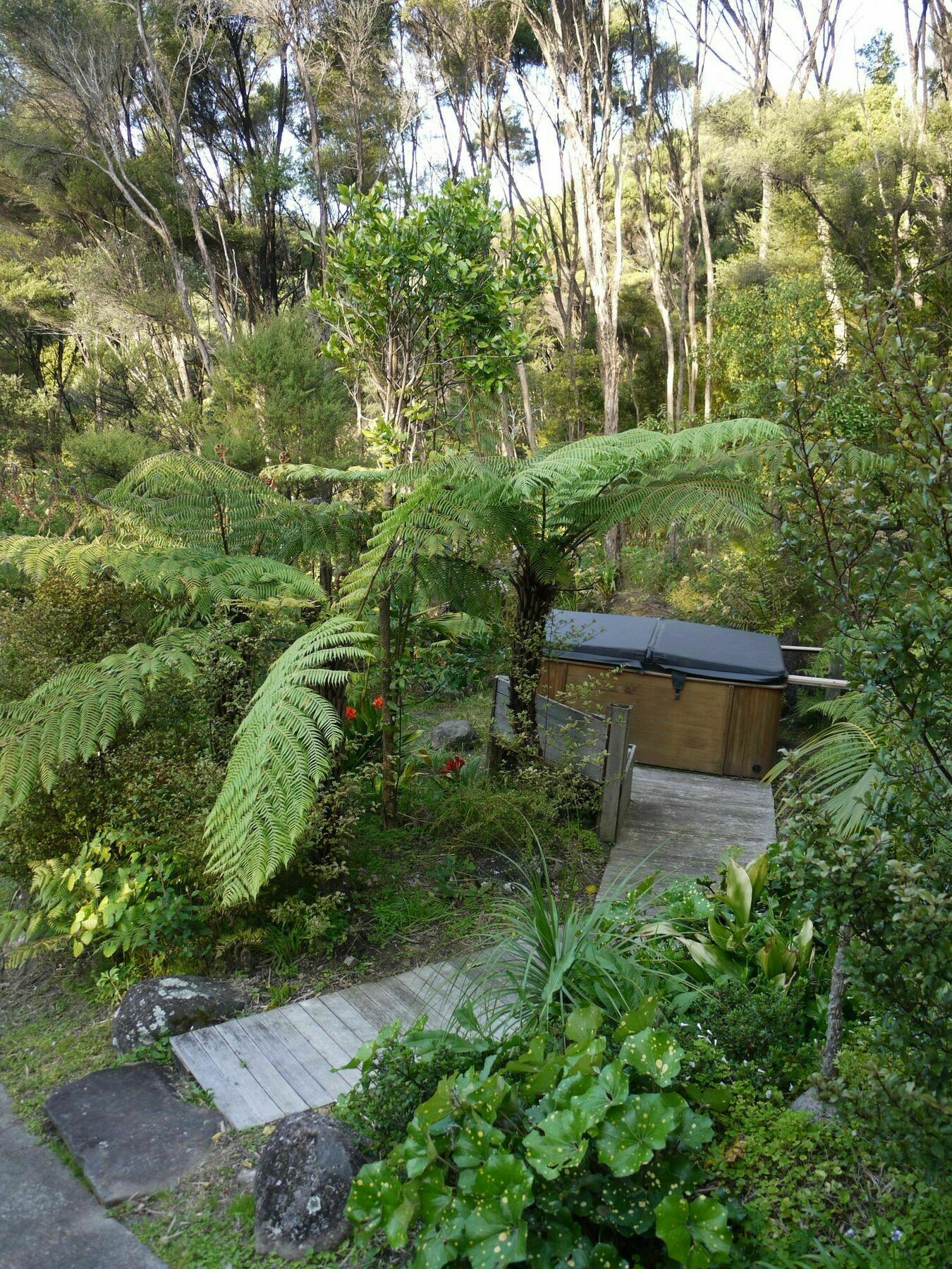 Bay Of Islands Holiday Apartments Paihia Esterno foto