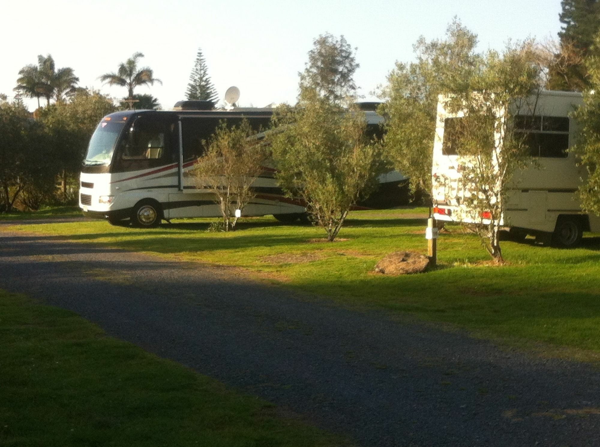 Bay Of Islands Holiday Apartments Paihia Esterno foto